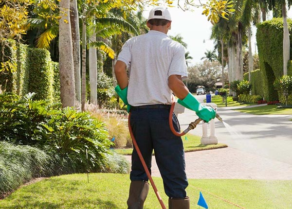 About Hart TX Pest Control Pros